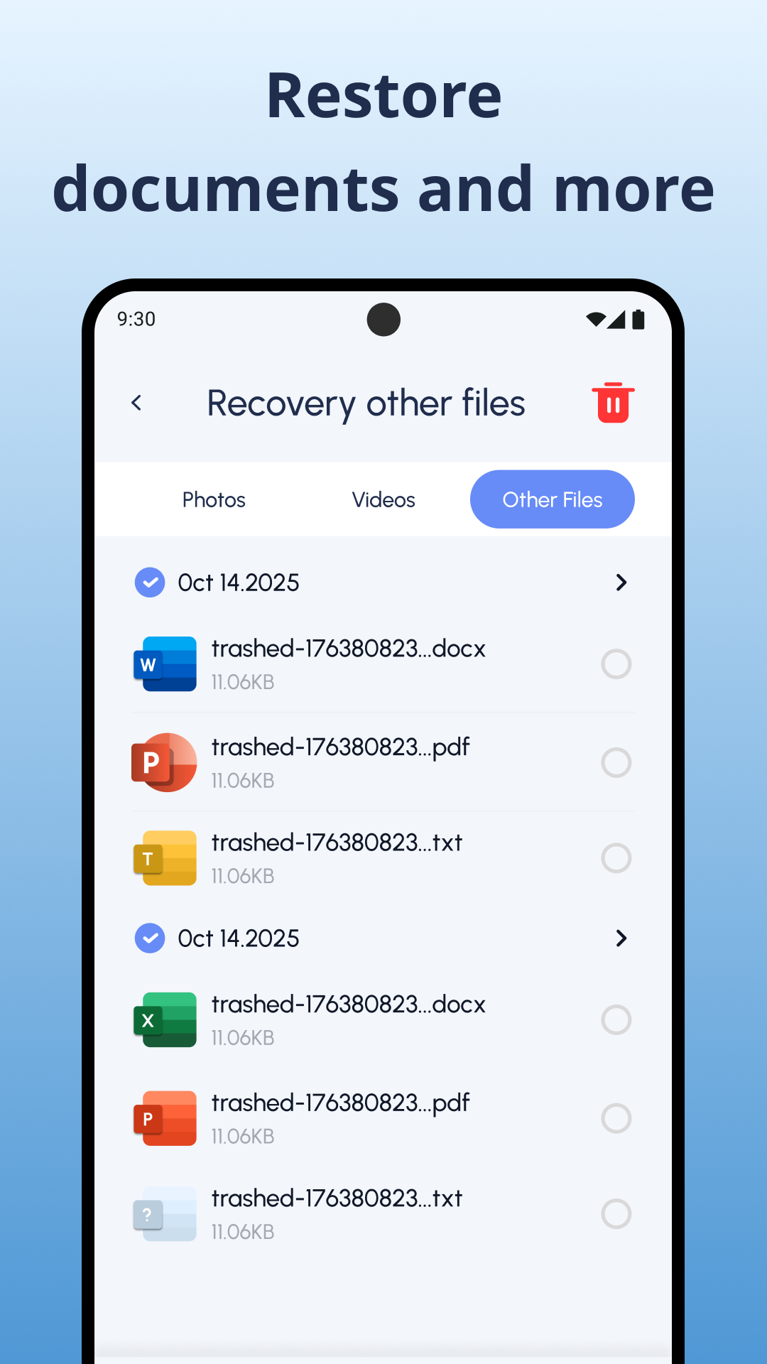 Document and other file recovery list